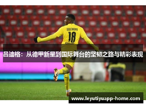 吕迪格：从德甲新星到国际舞台的坚韧之路与精彩表现